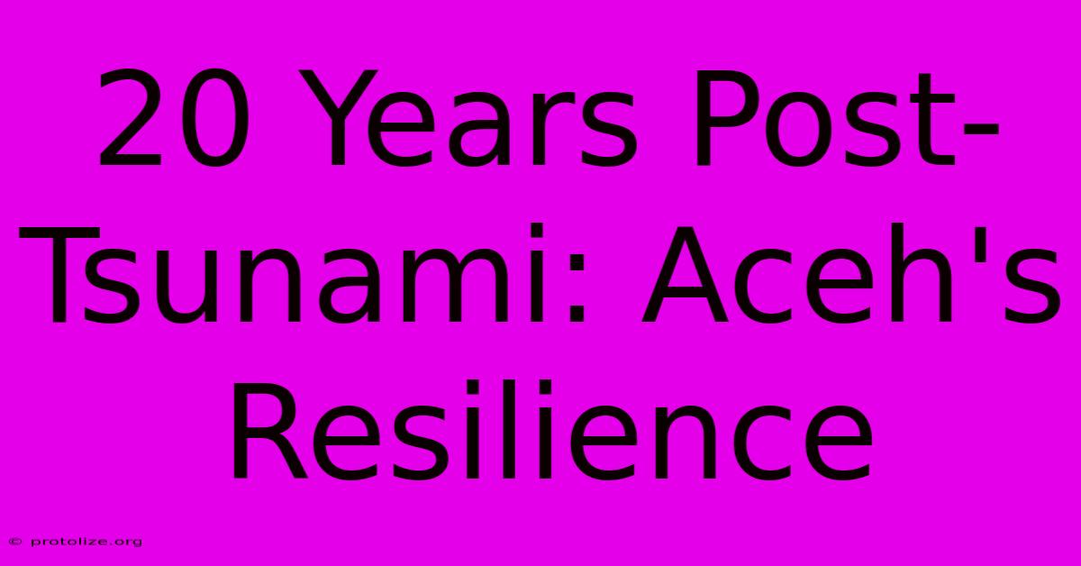 20 Years Post-Tsunami: Aceh's Resilience 20 Years Post-Tsunami: Aceh's Resilience