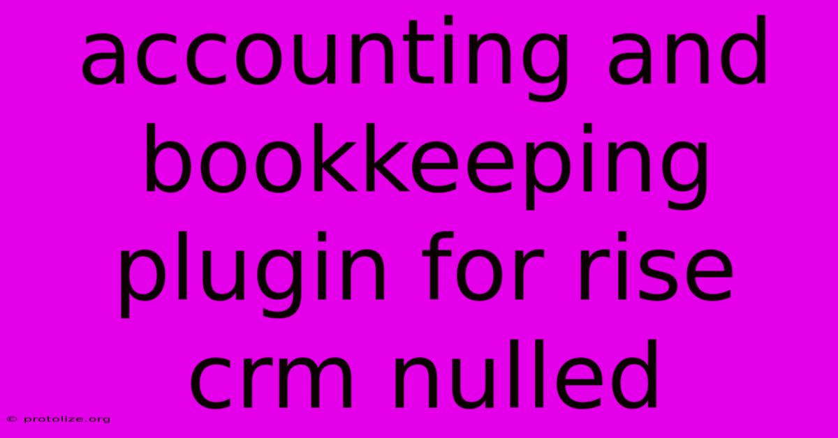 Accounting And Bookkeeping Plugin For Rise Crm Nulled