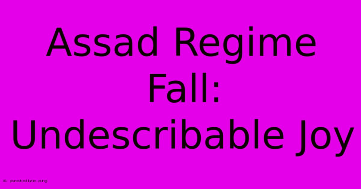 Assad Regime Fall: Undescribable Joy Assad Regime Fall: Undescribable Joy