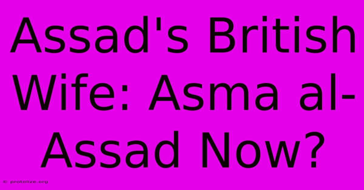 Assad's British Wife: Asma Al-Assad Now?