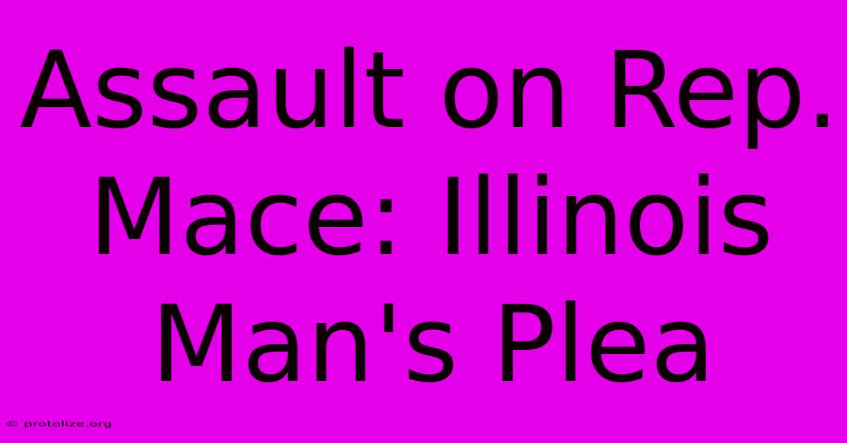 Assault On Rep. Mace: Illinois Man's Plea Assault On Rep. Mace: Illinois Man's Plea