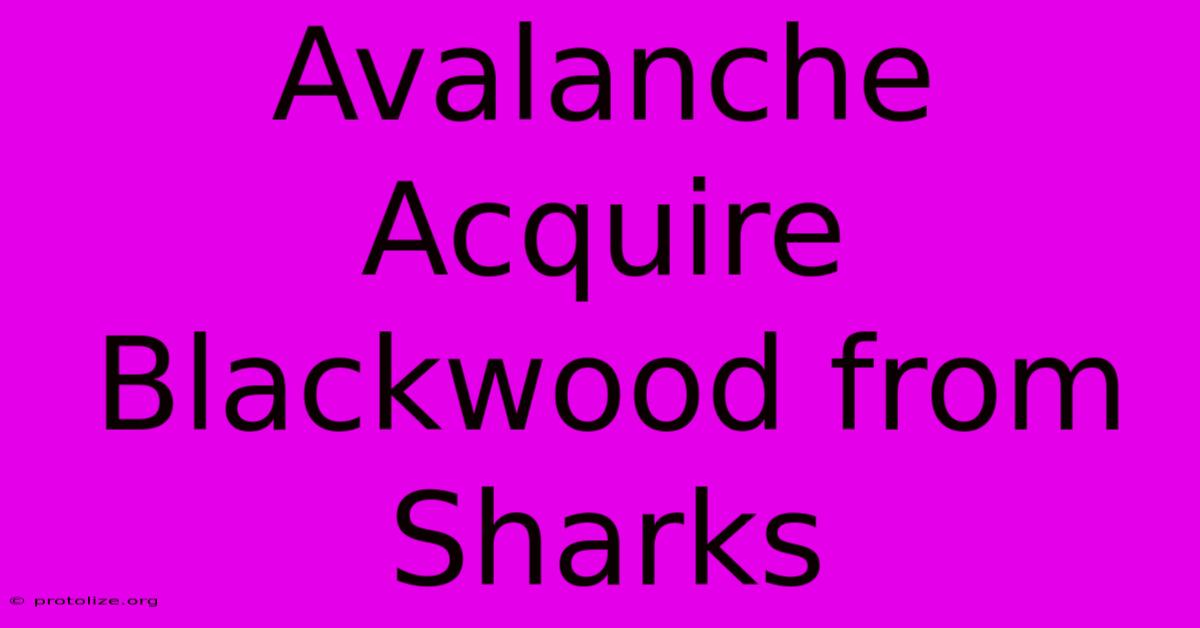 Avalanche Acquire Blackwood From Sharks