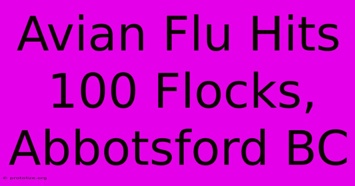 Avian Flu Hits 100 Flocks, Abbotsford BC Avian Flu Hits 100 Flocks, Abbotsford BC