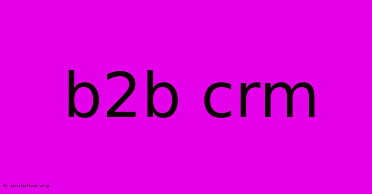 B2b Crm B2b Crm