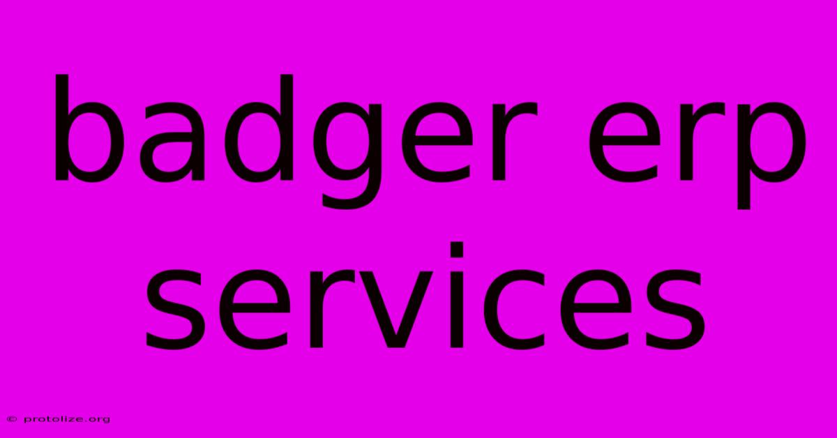 Badger Erp Services
