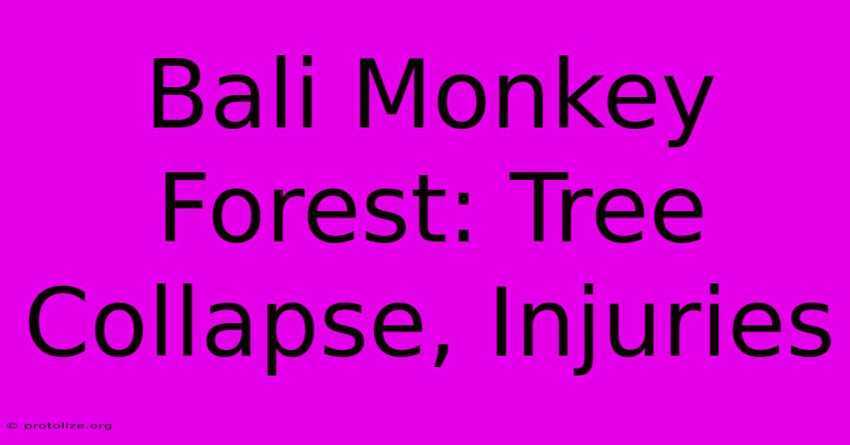 Bali Monkey Forest: Tree Collapse, Injuries Bali Monkey Forest: Tree Collapse, Injuries