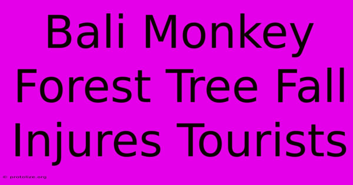 Bali Monkey Forest Tree Fall Injures Tourists Bali Monkey Forest Tree Fall Injures Tourists