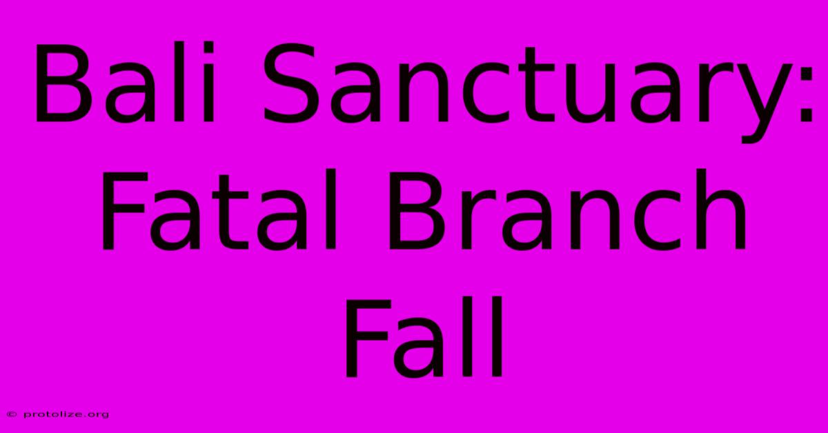 Bali Sanctuary: Fatal Branch Fall Bali Sanctuary: Fatal Branch Fall