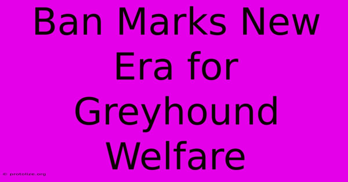 Ban Marks New Era For Greyhound Welfare