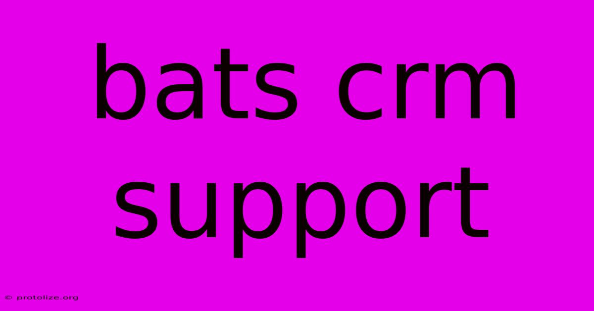 Bats Crm Support Bats Crm Support