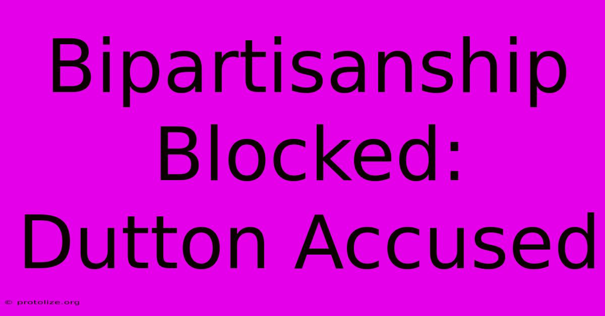 Bipartisanship Blocked: Dutton Accused