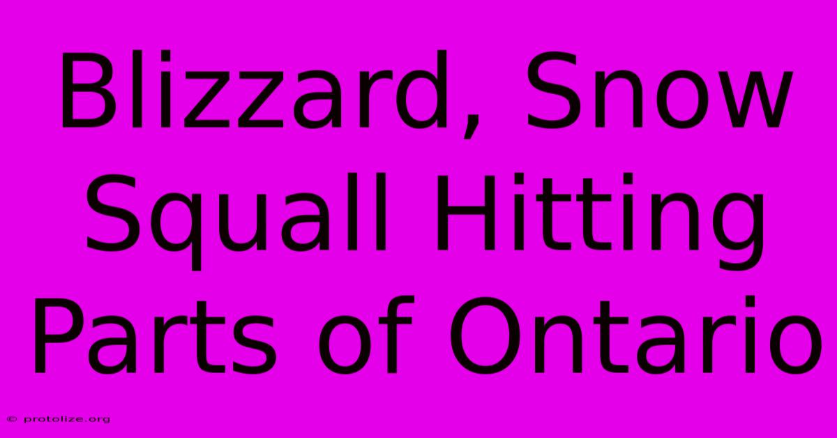 Blizzard, Snow Squall Hitting Parts Of Ontario