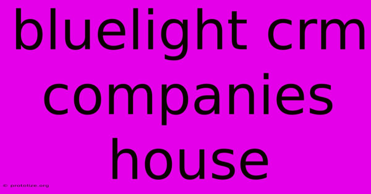 Bluelight Crm Companies House