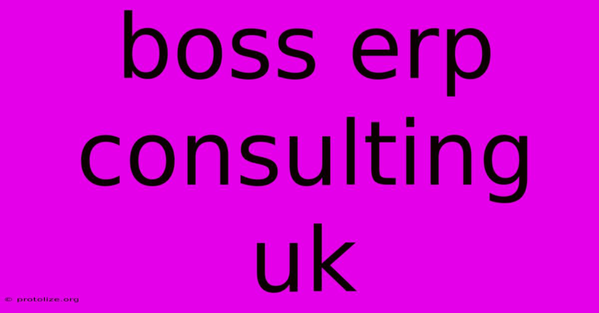 Boss Erp Consulting Uk