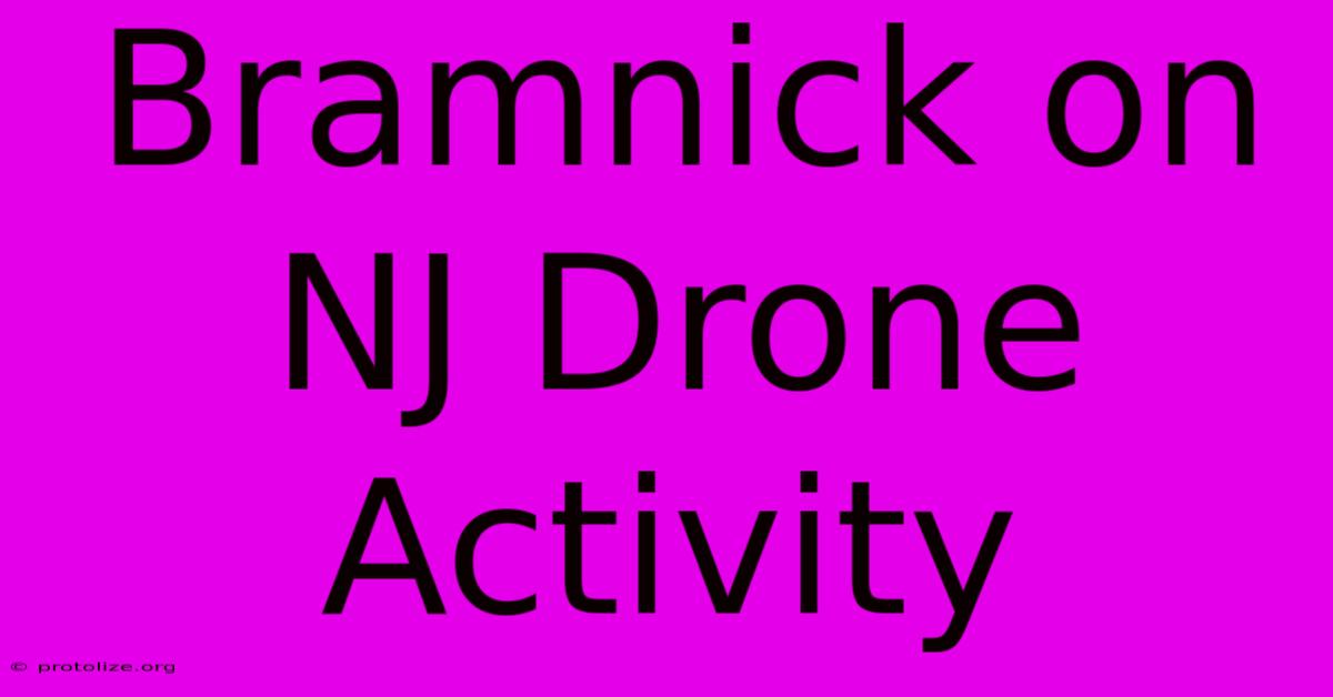 Bramnick On NJ Drone Activity