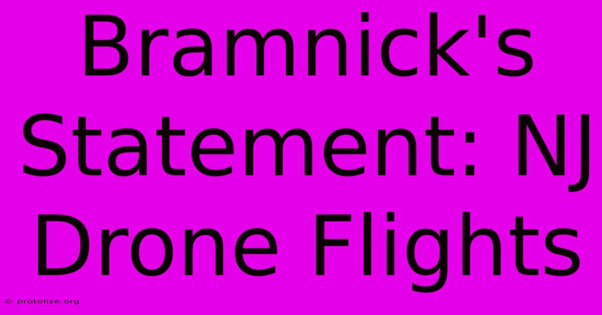 Bramnick's Statement: NJ Drone Flights