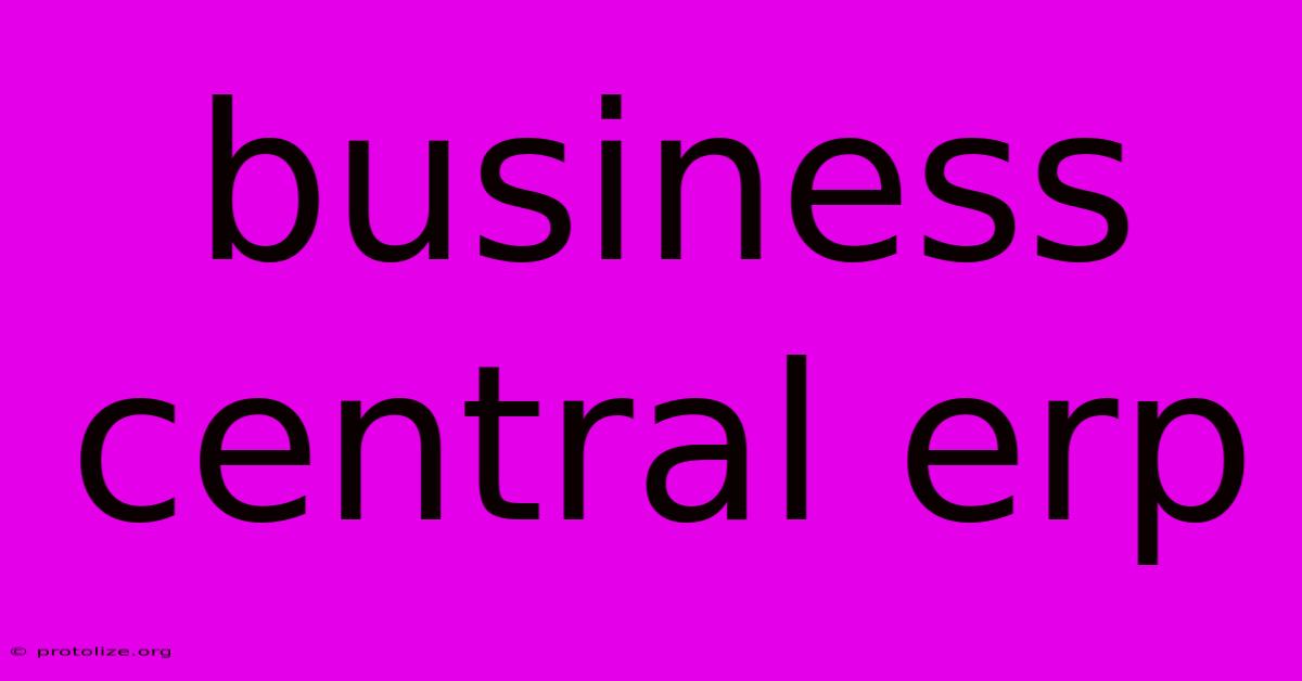 Business Central Erp Business Central Erp
