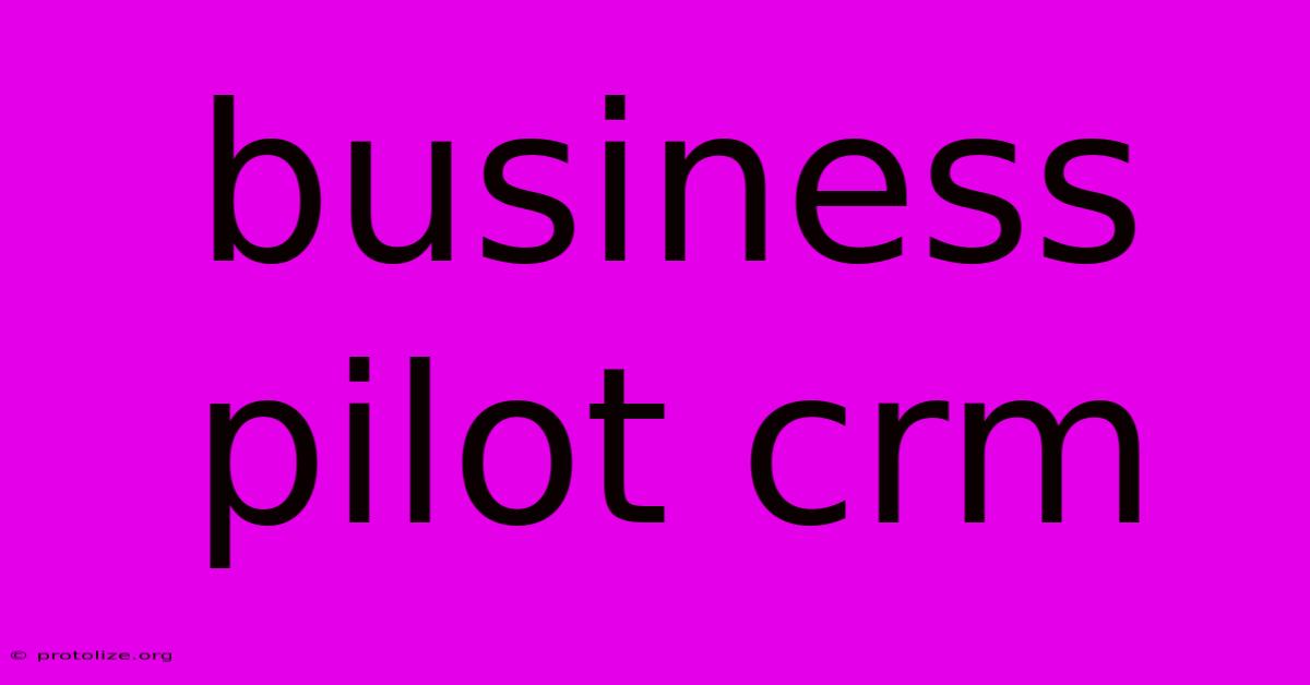 Business Pilot Crm Business Pilot Crm