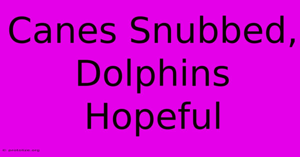 Canes Snubbed, Dolphins Hopeful Canes Snubbed, Dolphins Hopeful
