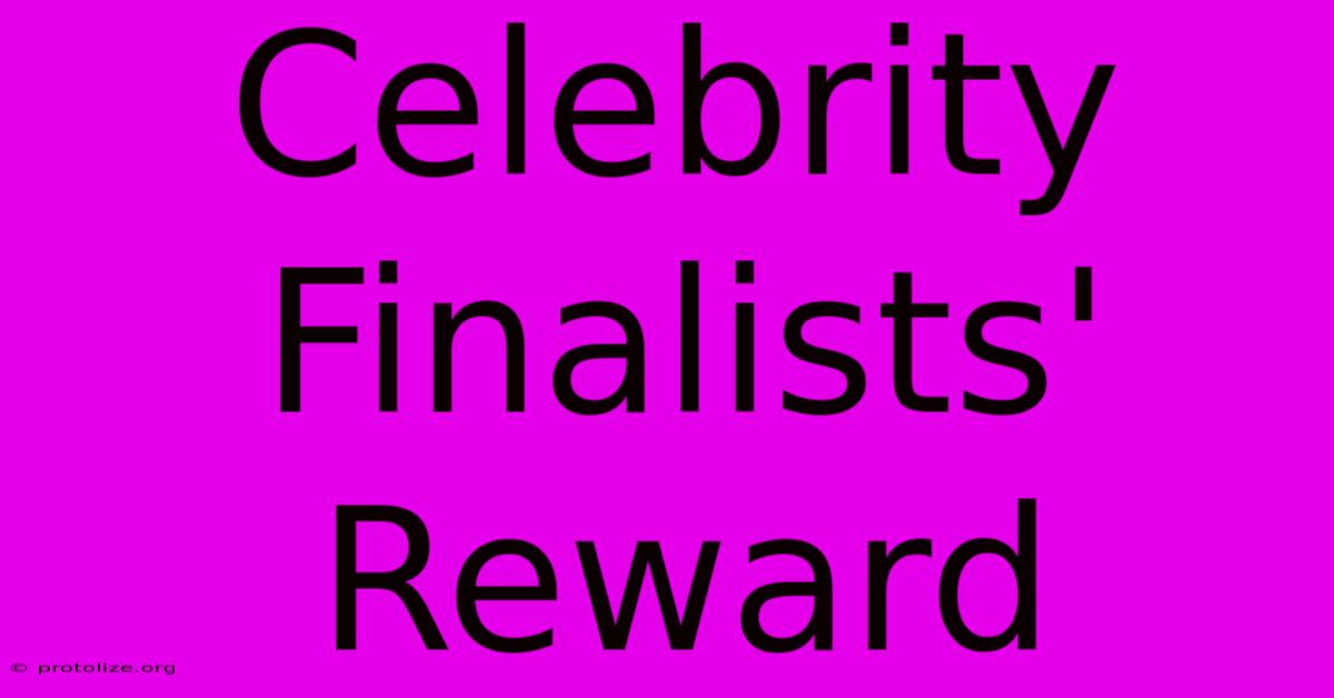 Celebrity Finalists' Reward