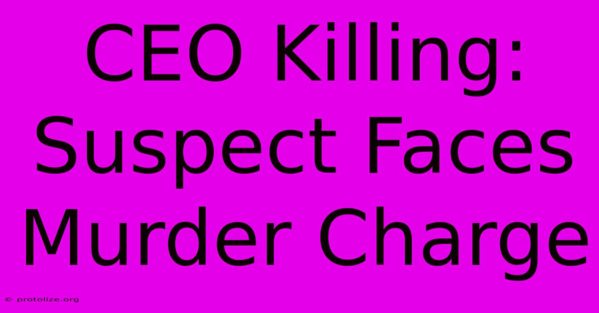 CEO Killing: Suspect Faces Murder Charge