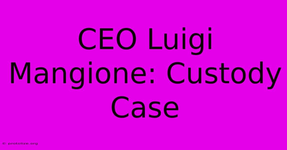 CEO Luigi Mangione: Custody Case