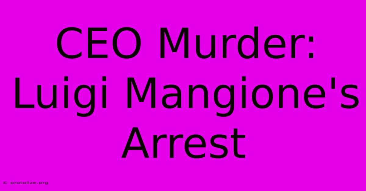 CEO Murder: Luigi Mangione's Arrest