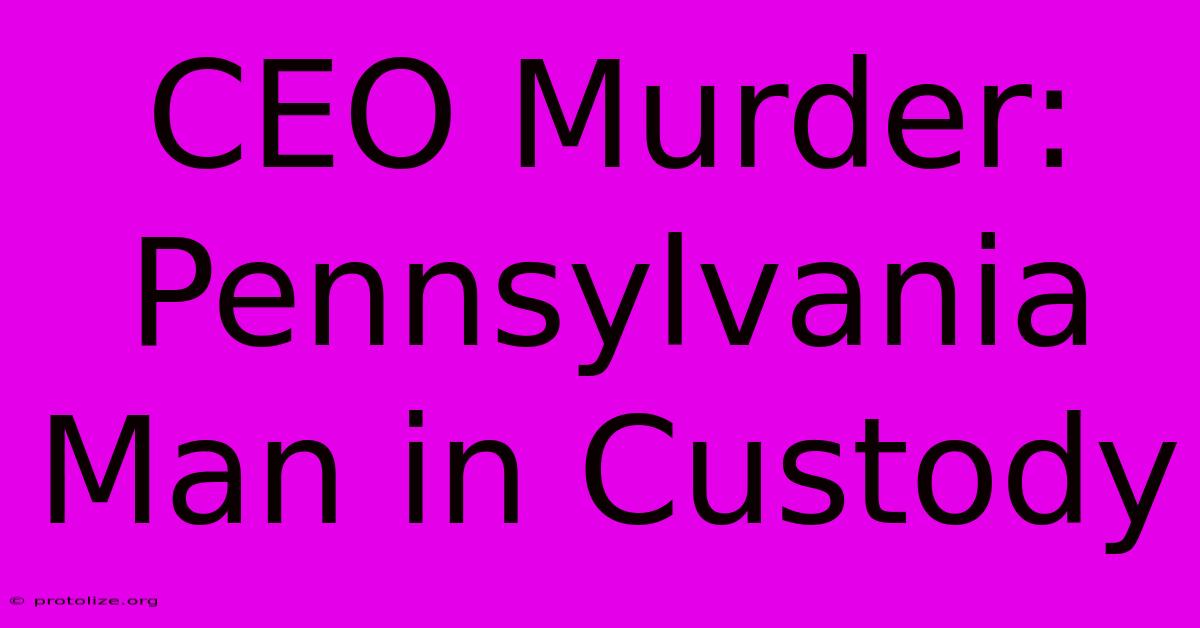 CEO Murder: Pennsylvania Man In Custody