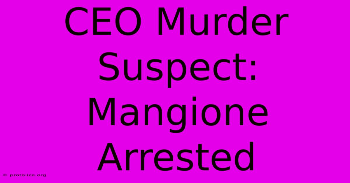 CEO Murder Suspect: Mangione Arrested