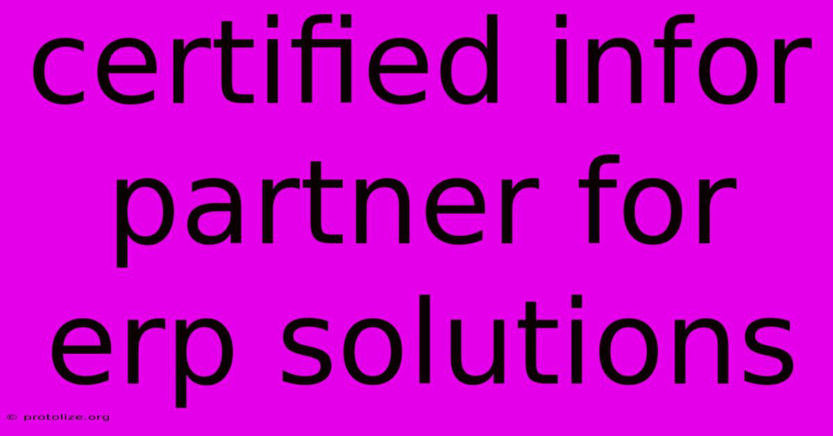 Certified Infor Partner For Erp Solutions Certified Infor Partner For Erp Solutions