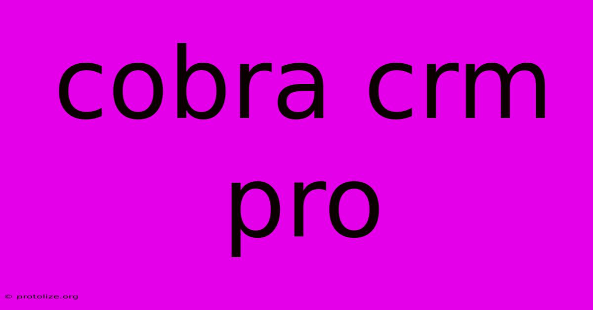 Cobra Crm Pro Cobra Crm Pro