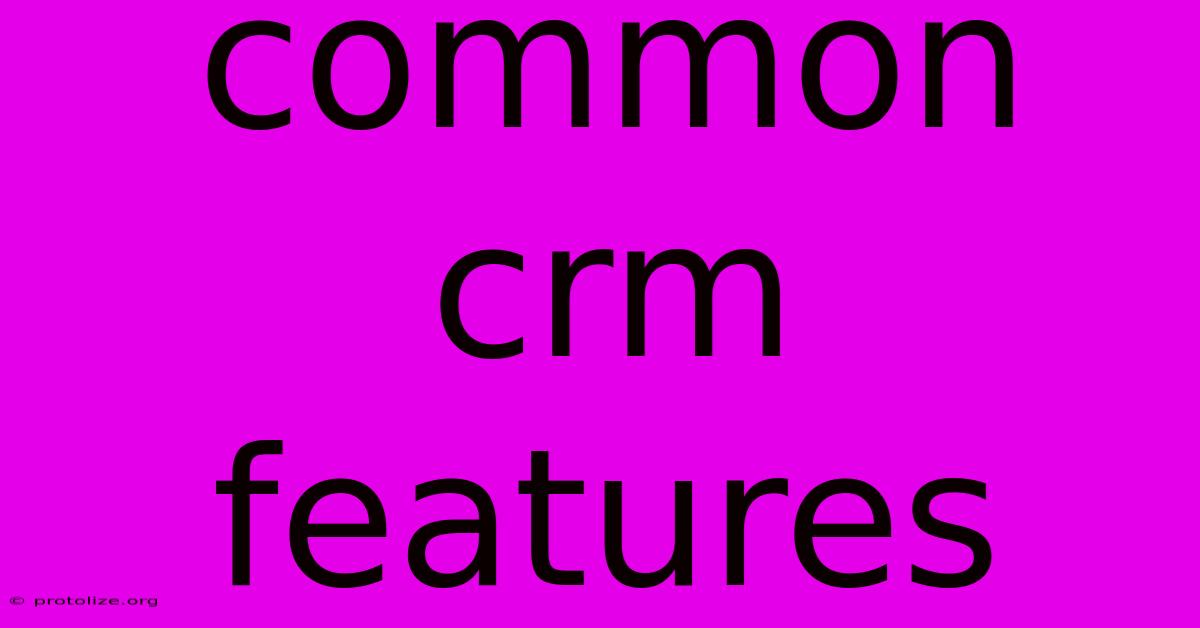 Common Crm Features