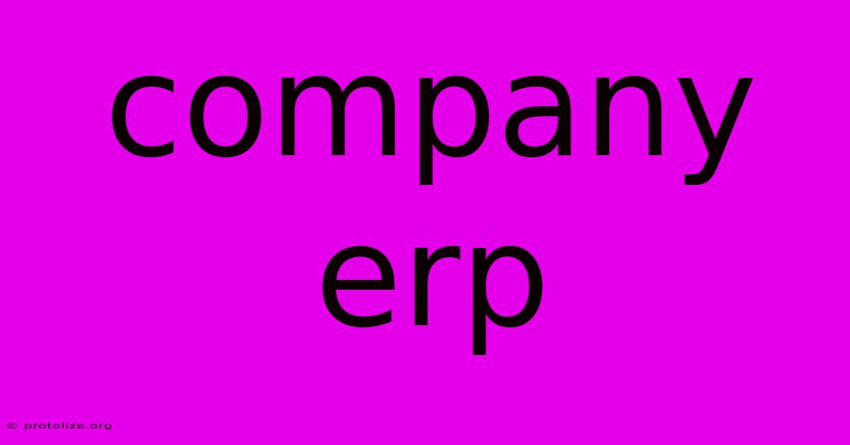 Company Erp Company Erp