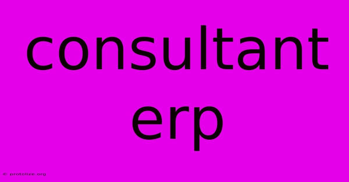 Consultant Erp Consultant Erp