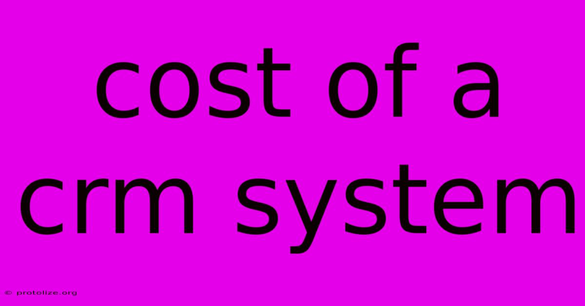 Cost Of A Crm System Cost Of A Crm System