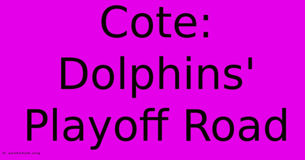 Cote: Dolphins' Playoff Road Cote: Dolphins' Playoff Road
