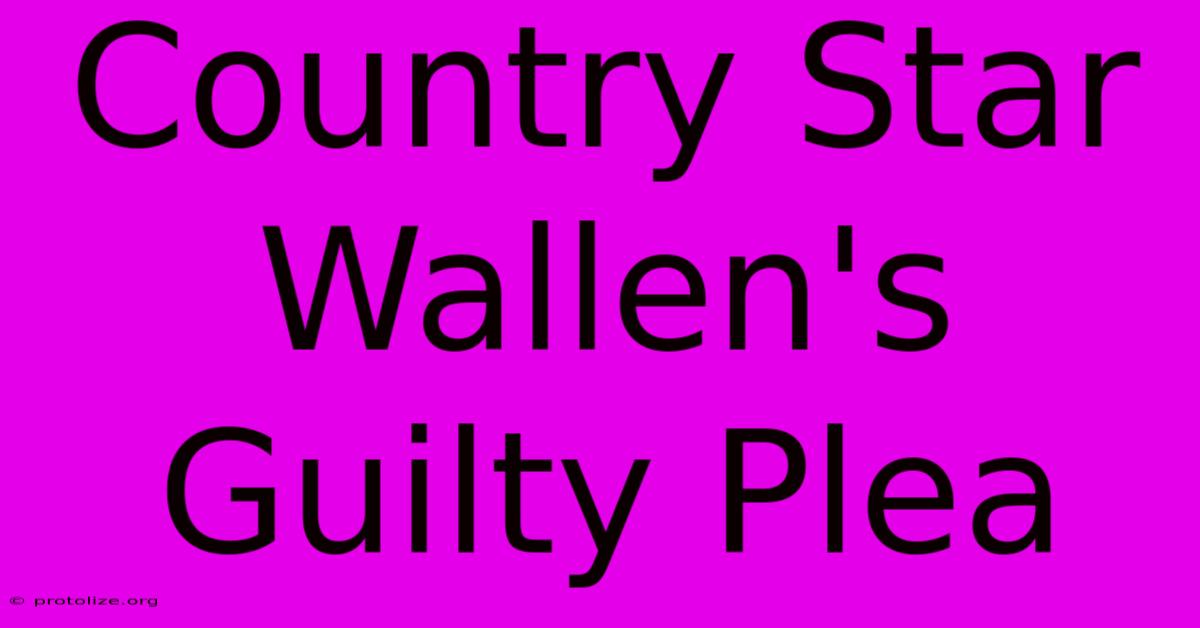 Country Star Wallen's Guilty Plea Country Star Wallen's Guilty Plea