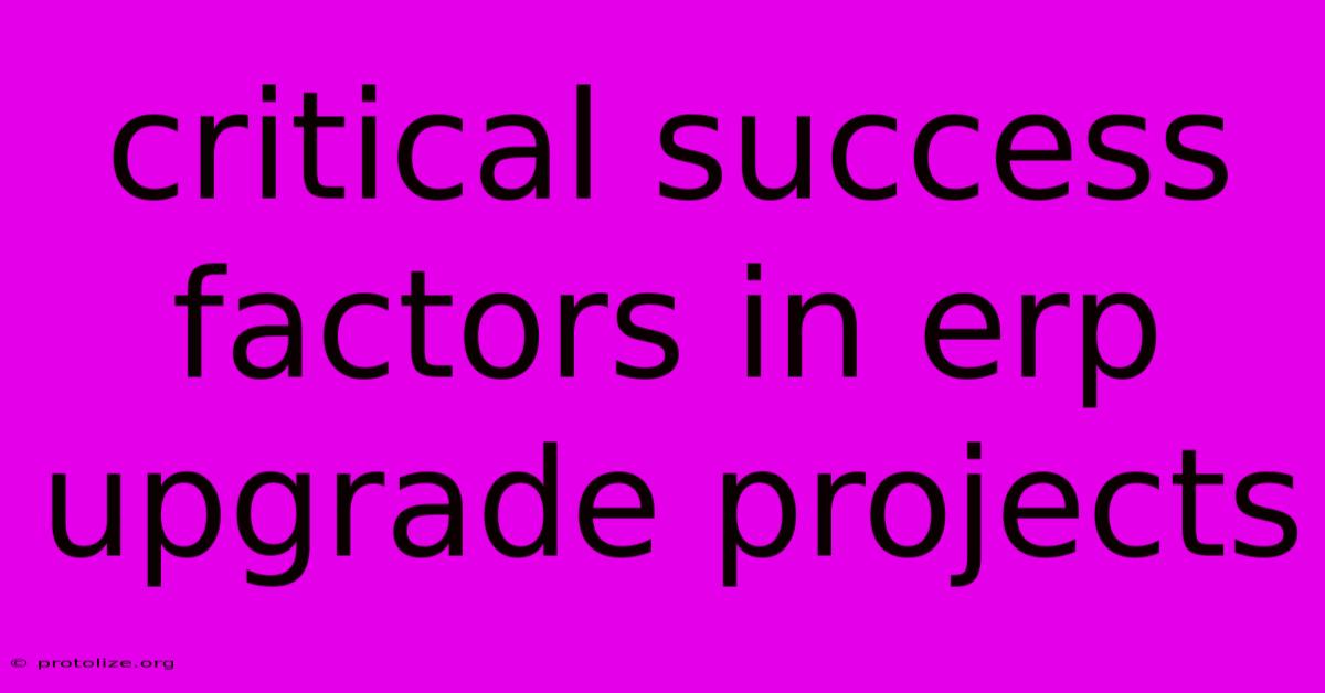 Critical Success Factors In Erp Upgrade Projects