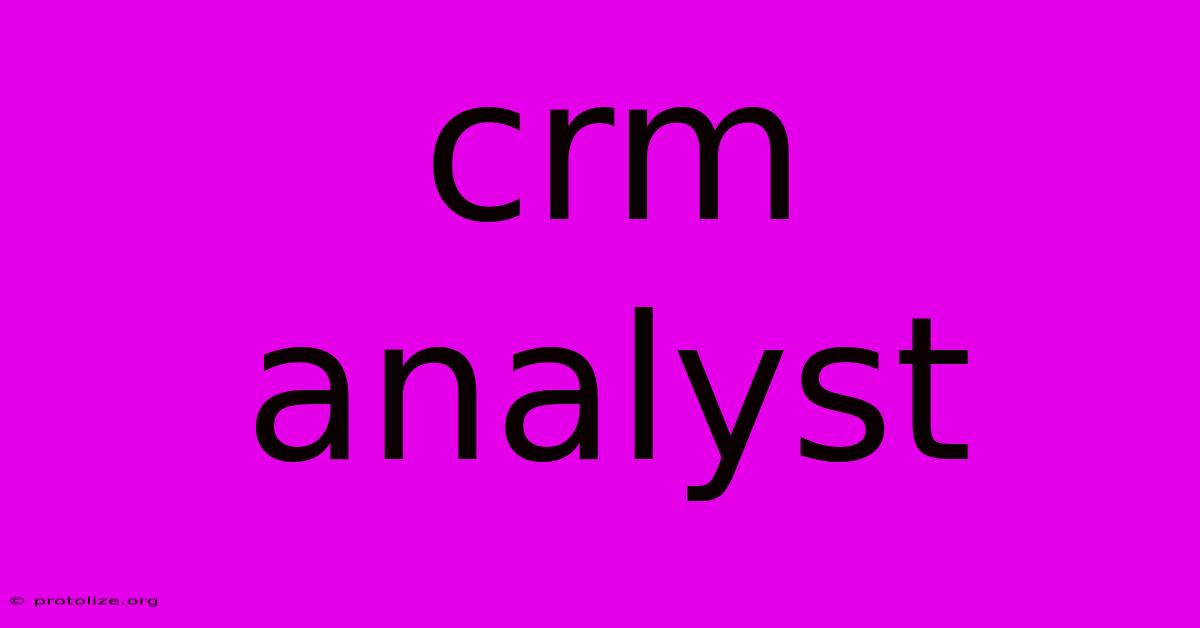 Crm Analyst