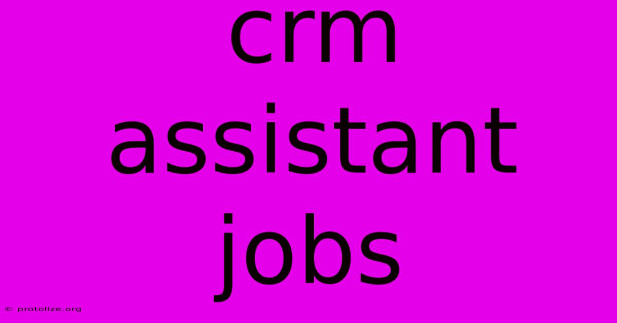 Crm Assistant Jobs