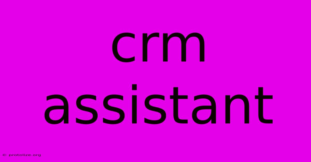 Crm Assistant