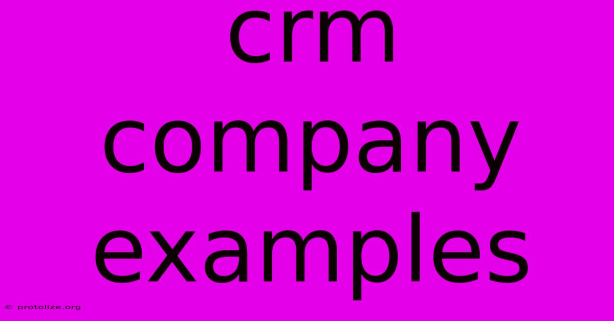 Crm Company Examples