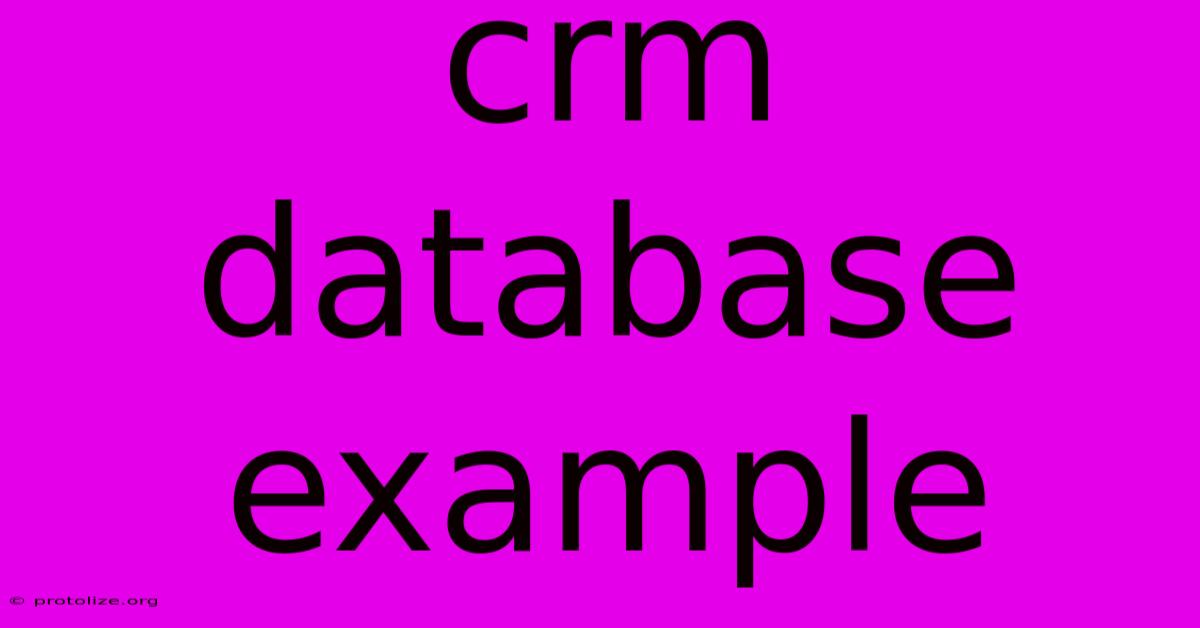 Crm Database Example Crm Database Example