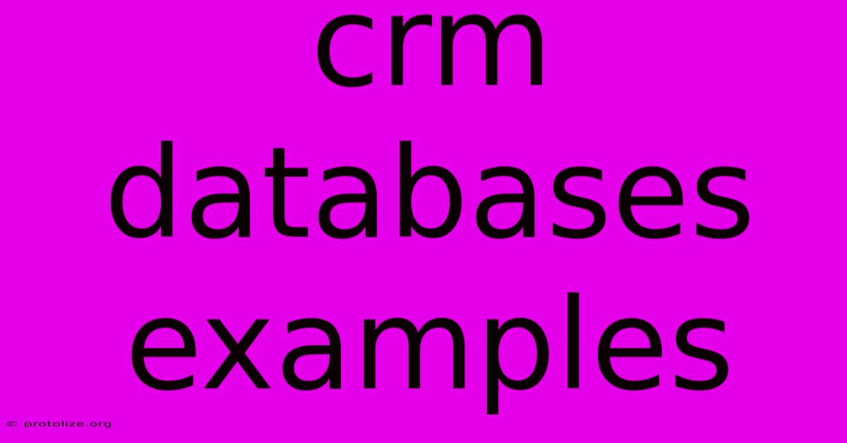 Crm Databases Examples Crm Databases Examples