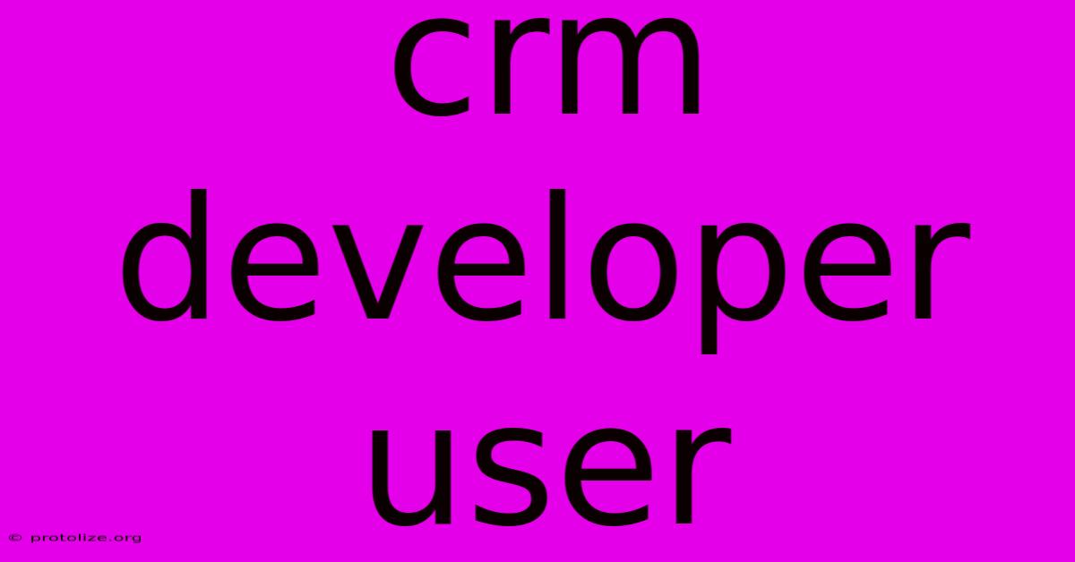 Crm Developer User