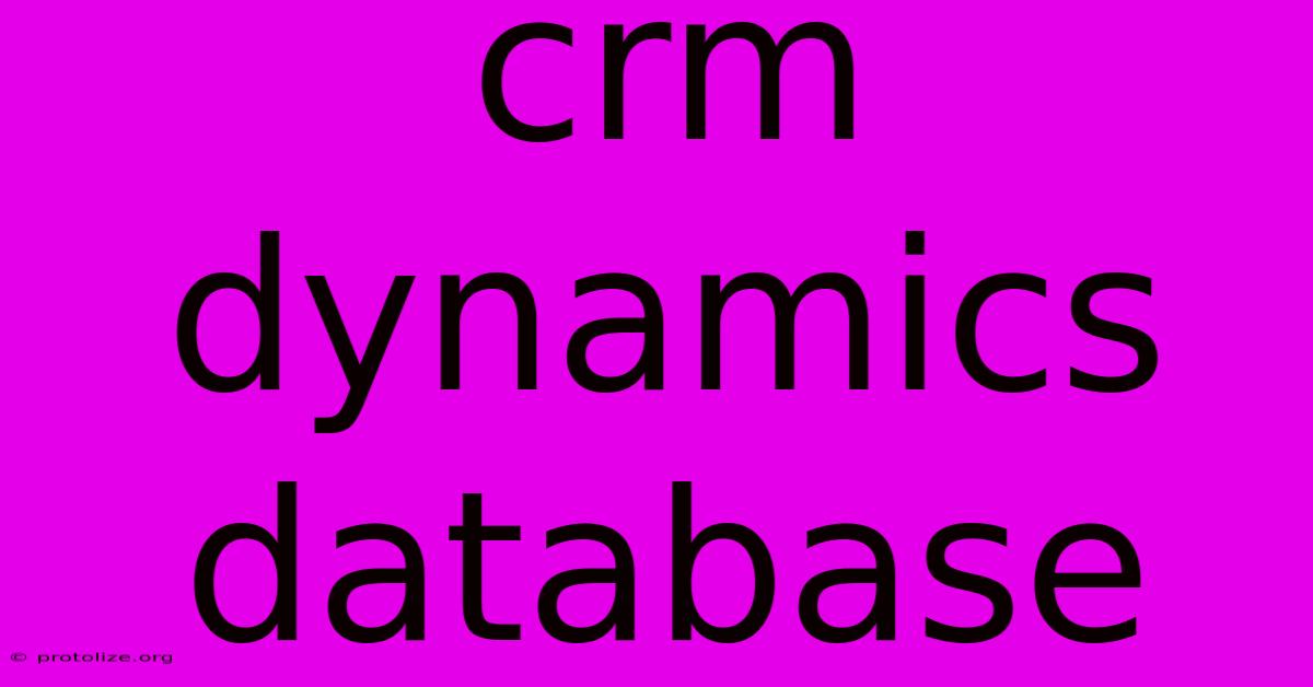 Crm Dynamics Database