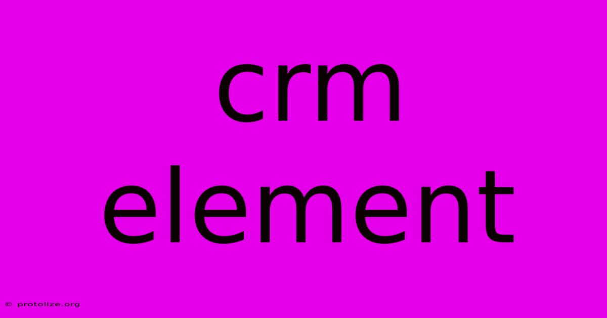 Crm Element Crm Element