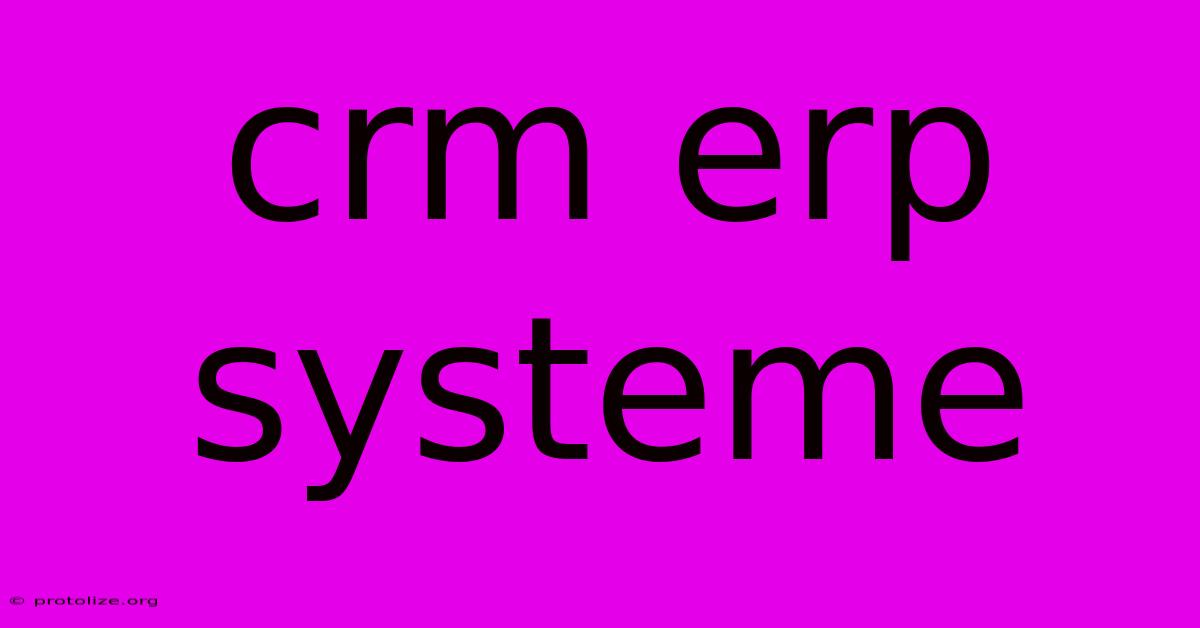Crm Erp Systeme Crm Erp Systeme