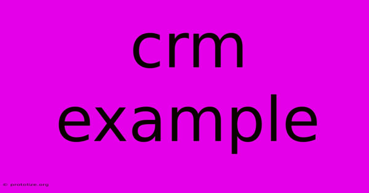 Crm Example