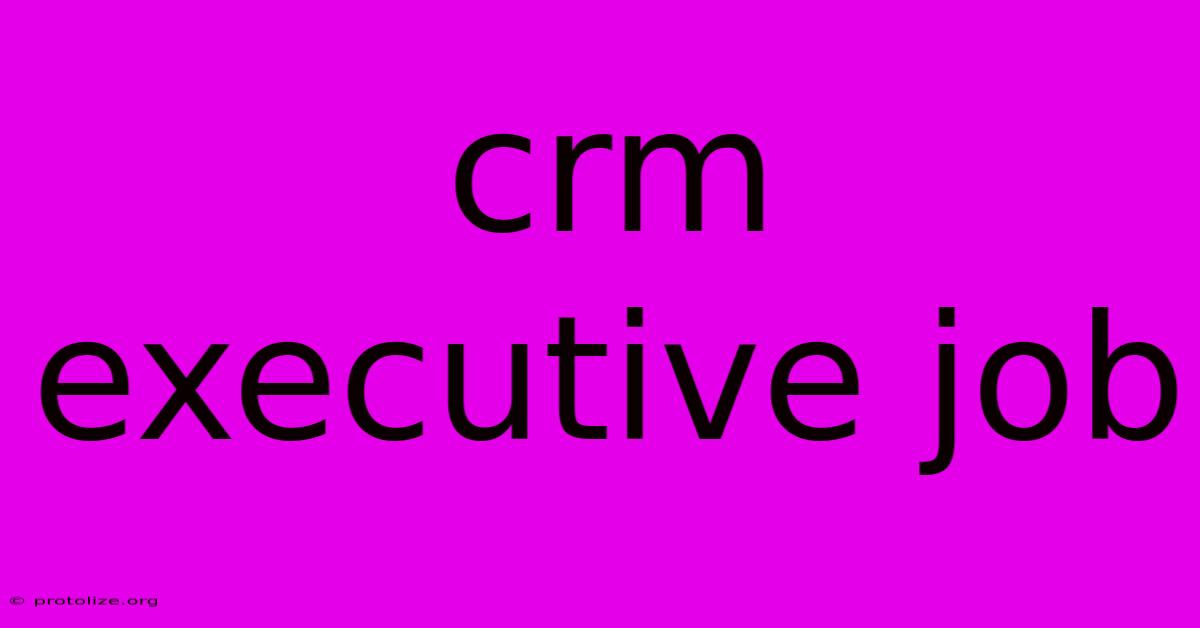 Crm Executive Job